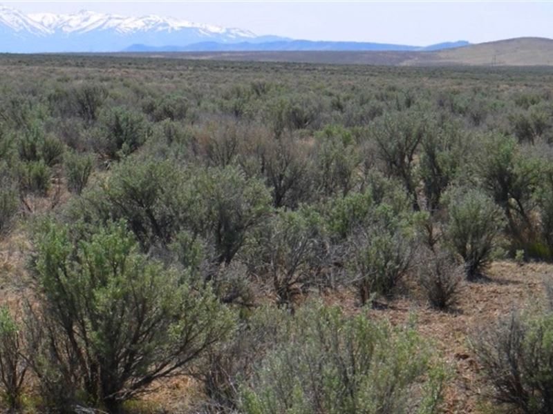 110 Acres in Pershing County, NV : Grass Valley : Pershing County : Nevada