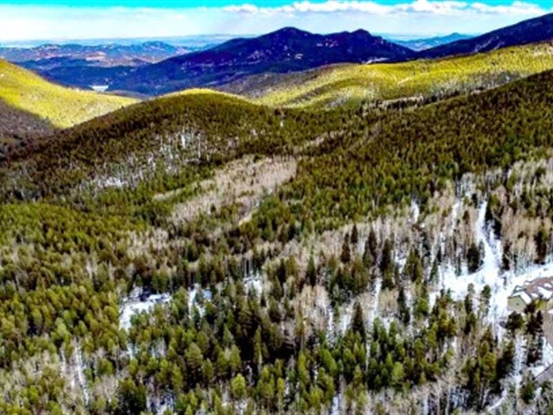 .82 Acres of Mountain Bliss : Idaho Springs : Clear Creek County : Colorado