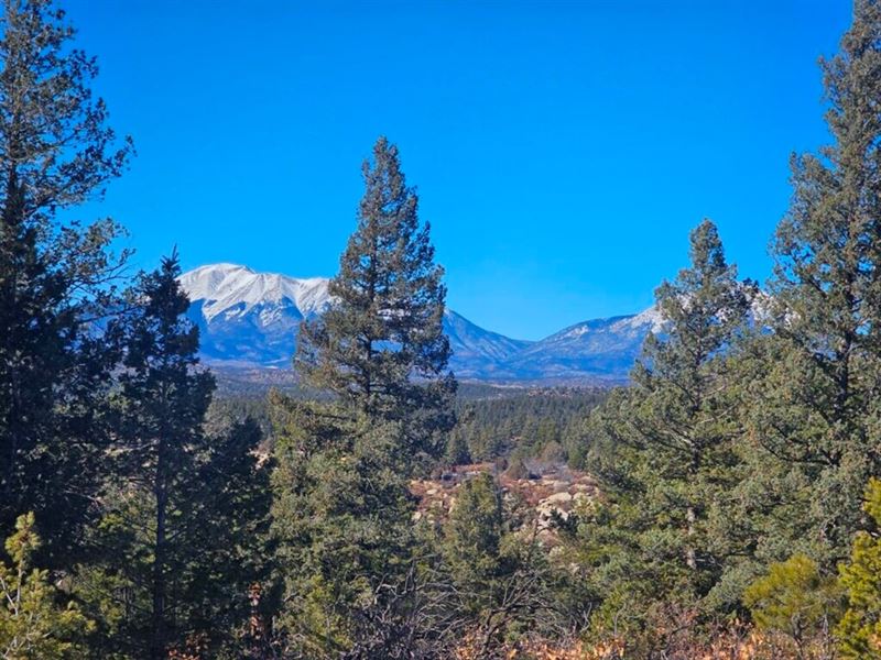 40 Acres Bordering 4,300+ Acres : Boncarbo : Las Animas County : Colorado