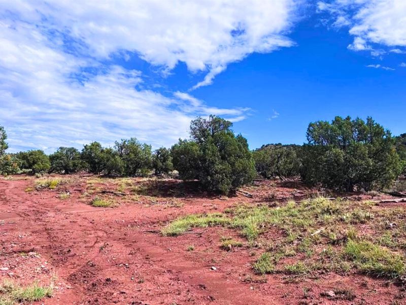 Easy Access & Lush Trees $125/Mo : Snowflake : Navajo County : Arizona