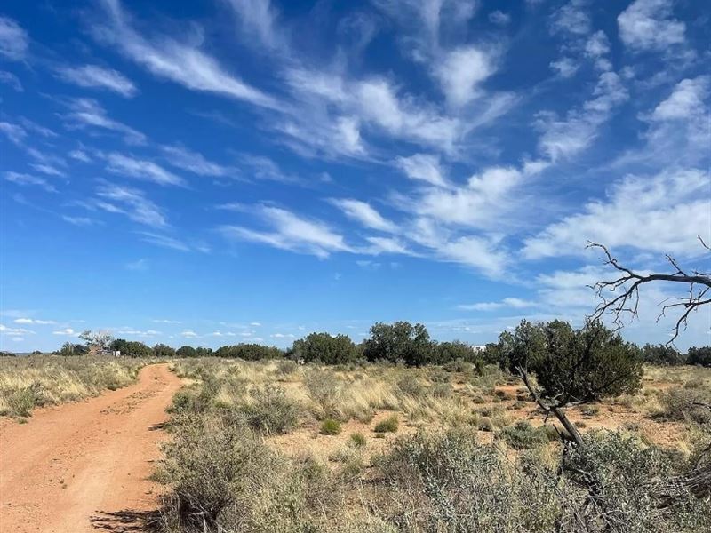 Double Lot Jackpot at $125-250/Mo : Snowflake : Navajo County : Arizona