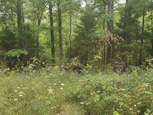 17 Acres in Laurel County, KY : London : Laurel County : Kentucky