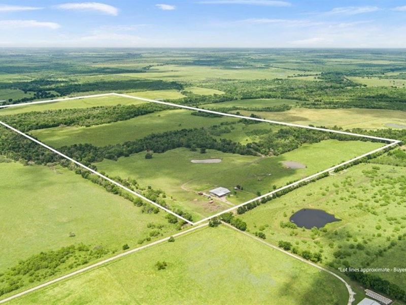 Big Hill Ranch : Groesbeck : Limestone County : Texas