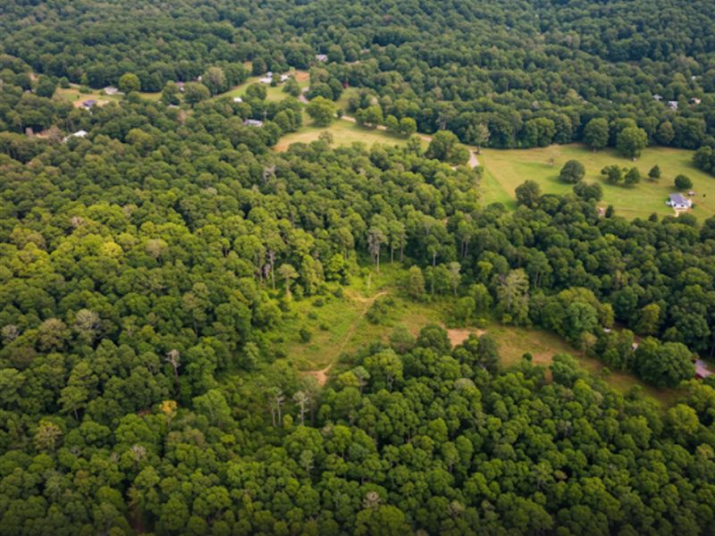 28.6 Acres in Humphreys County, TN : Waverly : Humphreys County : Tennessee