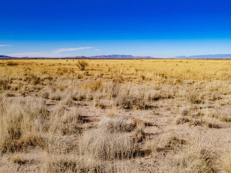 2 Lots in Cochise No HOA, Low Tax : Sun Sunsites : Cochise County : Arizona