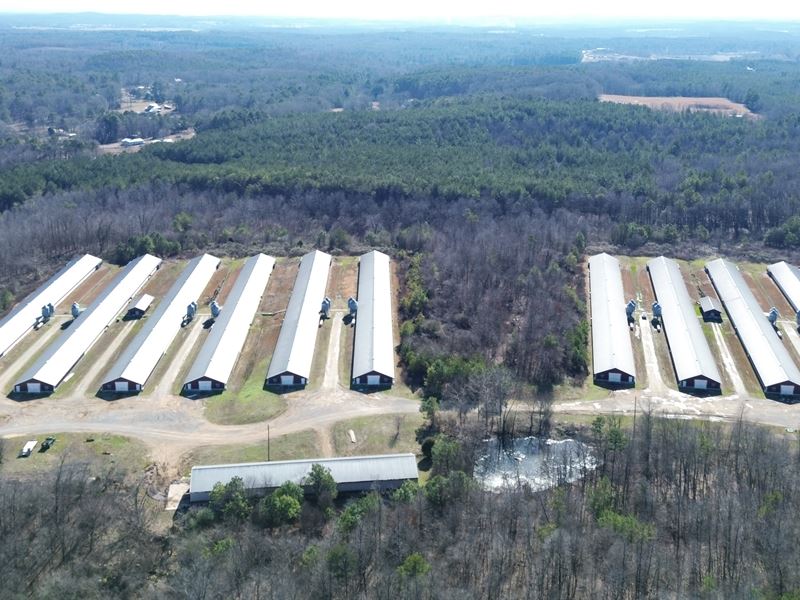 12 House Broiler Poultry Farm : Cedartown : Polk County : Georgia