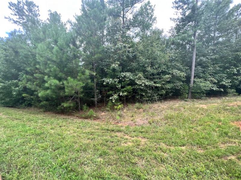 6.02 Acres Savannah Landings, GA : Elberton : Elbert County : Georgia