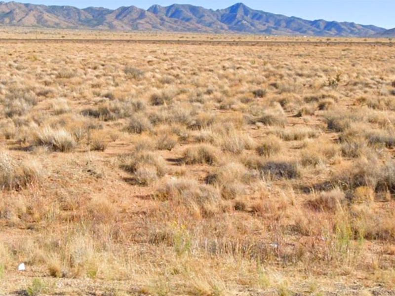 Every Land Collector Needs a Gem : Kingman : Mohave County : Arizona