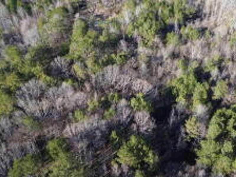 Country Homesite : West Point : Clay County : Mississippi