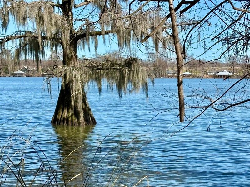 209' Lake Bruin Lot, St Joseph, LA : Saint Joseph : Tensas Parish : Louisiana