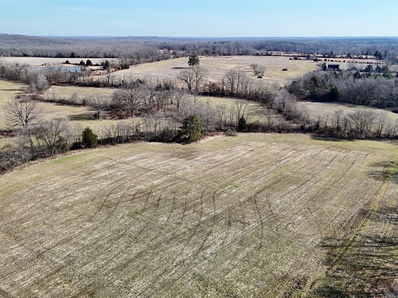 88 Acres for Sale in Bollinger : Glenallen : Bollinger County : Missouri