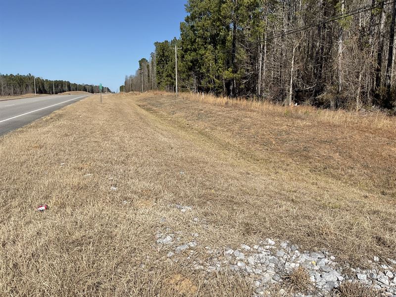 Beasley Highway 331 2 Acre Lot : Luverne : Crenshaw County : Alabama