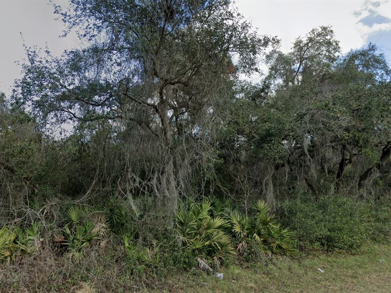 Affordable & Hassle Free Lot in FL : Umatilla : Marion County : Florida