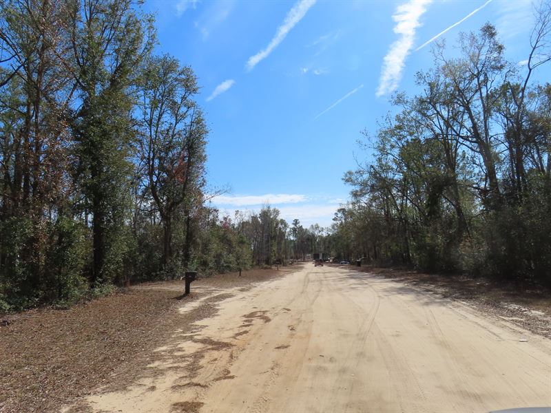 8.2 Acres of Land : Oak Blvd : Hamilton County : Florida