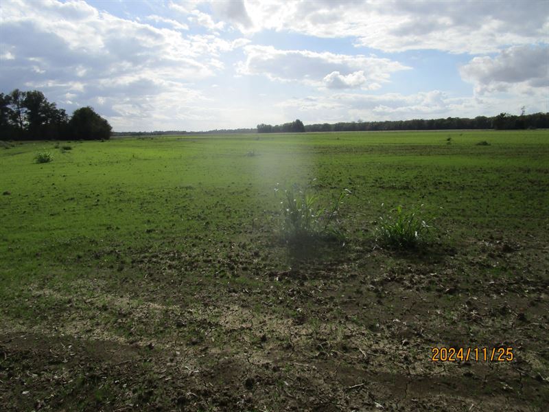 La, Catahoula 86 Acres : Larto : Claiborne Parish : Louisiana