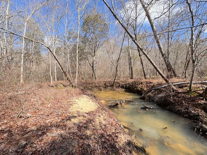 Winston County 149 Acres Recrea : Double Springs : Winston County : Alabama