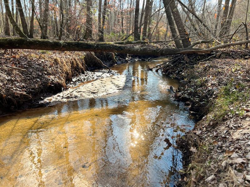 Little Sandy Hill Creek : Tennille : Washington County : Georgia