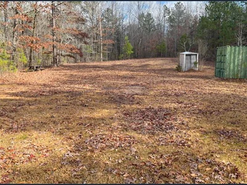 39 Acres in Union County in Thaxton : Thaxton : Union County : Mississippi