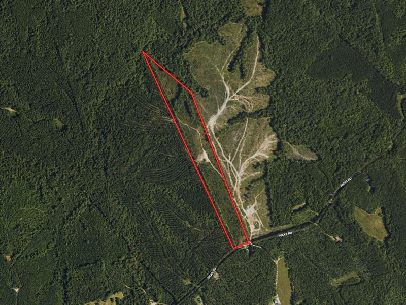 31.06 Acres of Timberland for Sale : Broadway : Harnett County : North Carolina