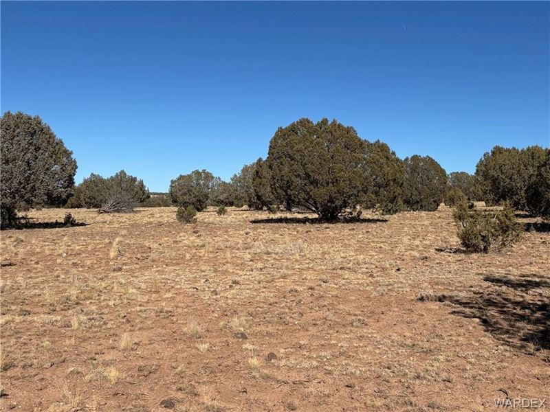 40 Acres of Untouched Beauty : Ash Fork : Coconino County : Arizona