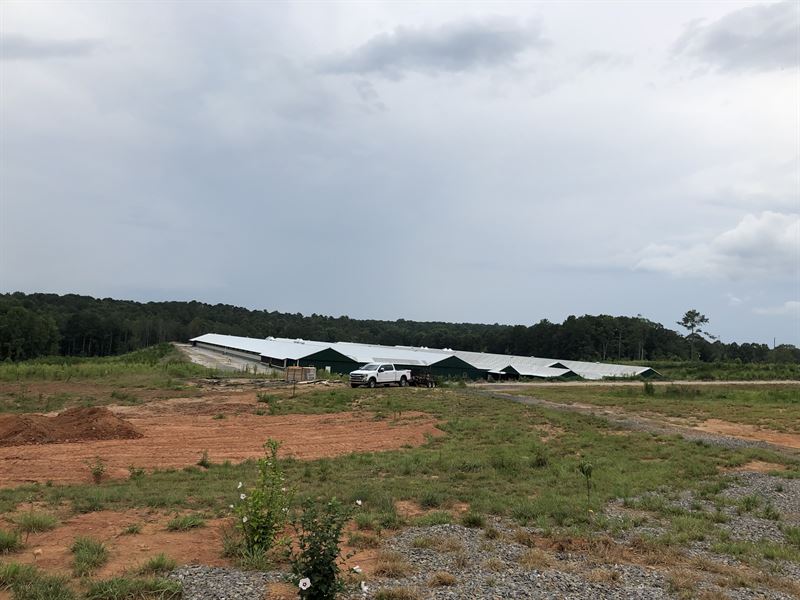 Farm with 4 Breeder Houses : Bowdon : Carroll County : Georgia