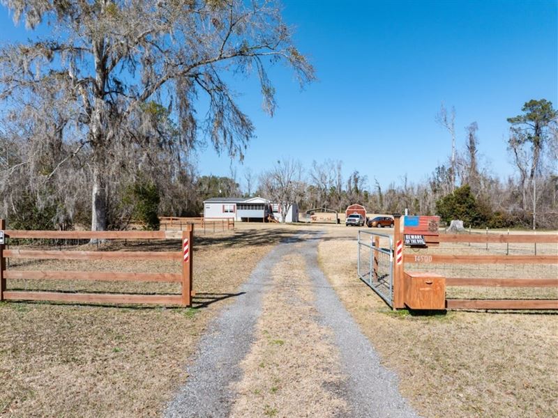 Greenville Home and 5 Acres : Greenville : Madison County : Florida