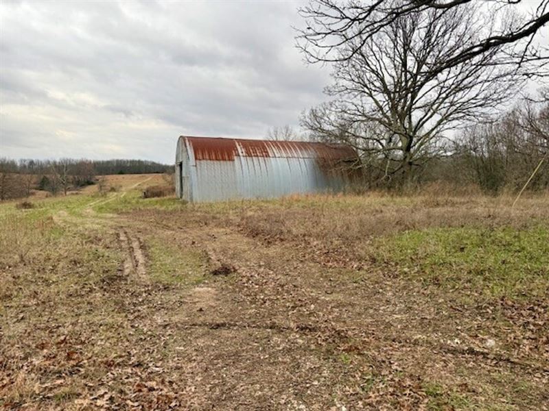 229.9 Acres, Timber, Pasture, Elect : Ava : Douglas County : Missouri