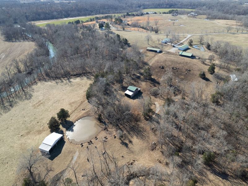 Glenwood Mill Road Farm : Cadiz : Trigg County : Kentucky