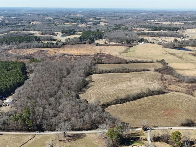 Cullman County, AL Mini-Farm Lot 5 : Cullman : Cullman County : Alabama