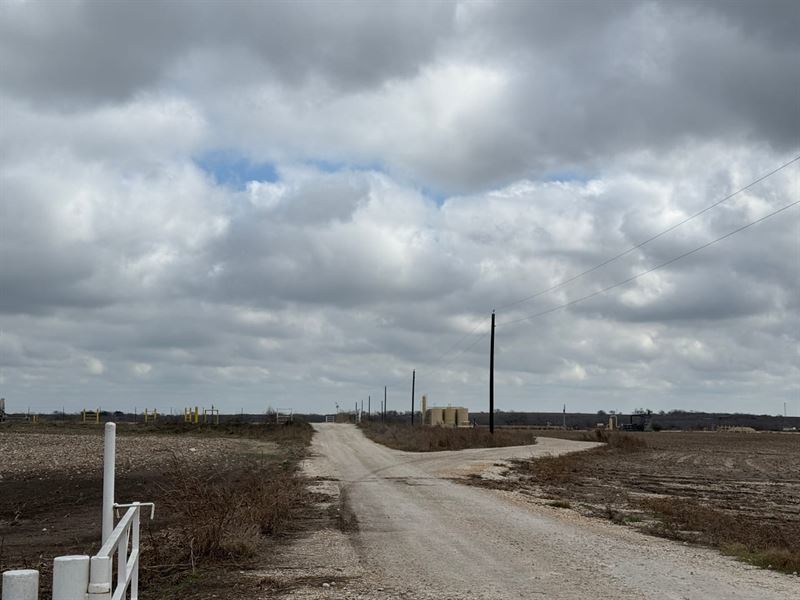 Runge Farmland : Runge : Karnes County : Texas