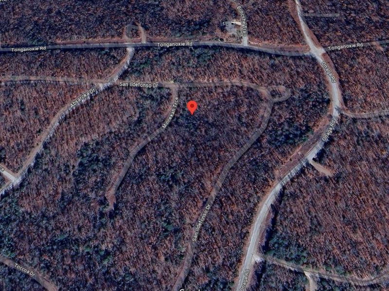 .30 Acres in Fulton County AR : Cherokee Village : Fulton County : Arkansas