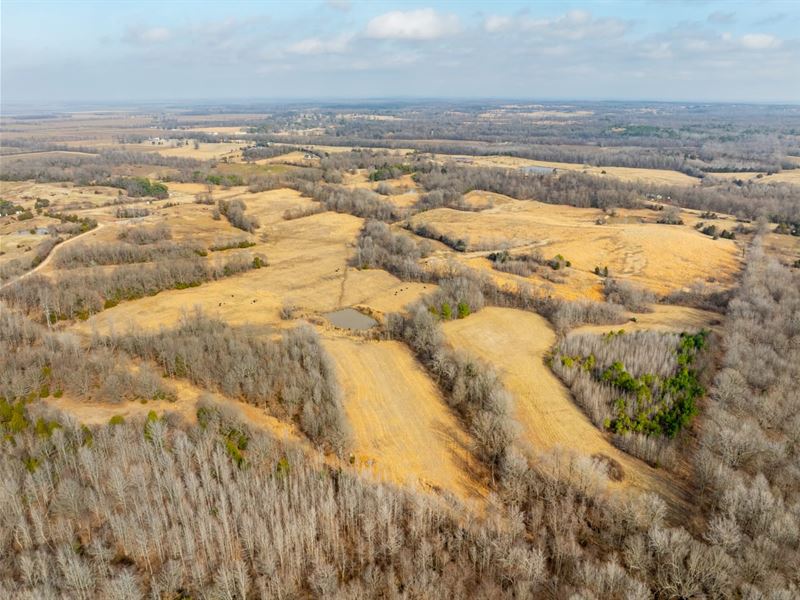 108 Acres, Pasture, Fenced, Cros : Piggott : Clay County : Arkansas