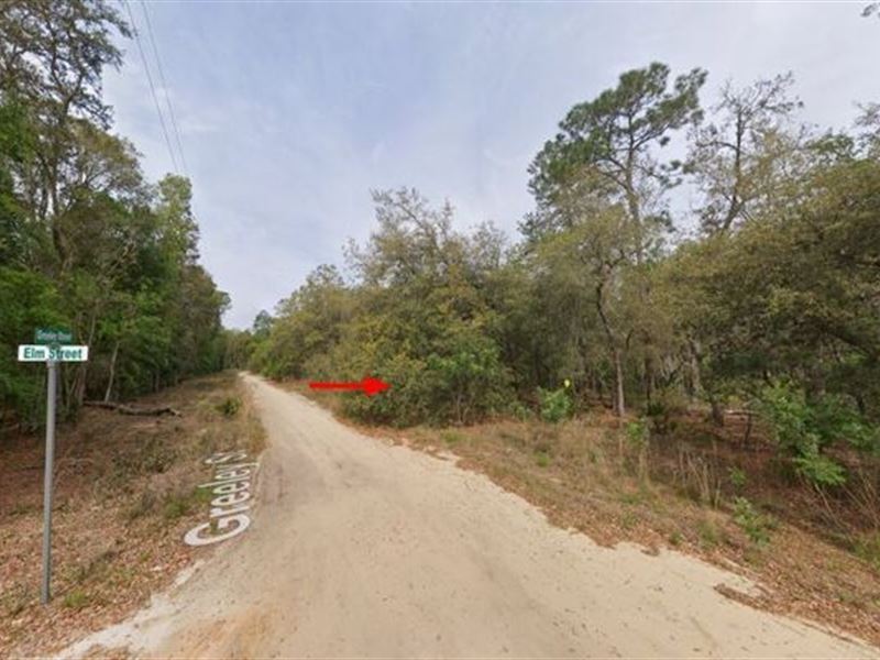 Lot with Pond Frontage : Interlachen : Putnam County : Florida