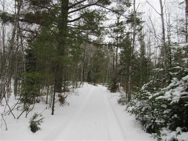 Secluded Acres Upper Peninsula : Iron River : Iron County : Michigan