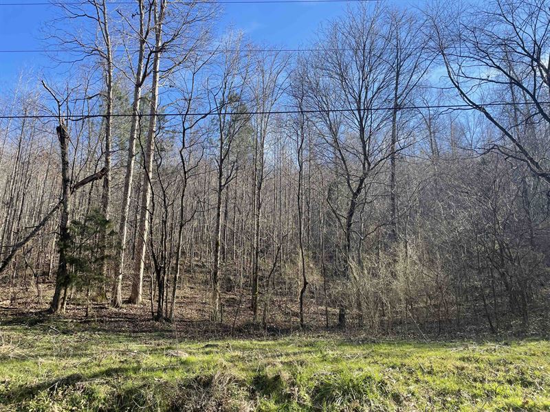 26 Acres Wooded : Adairsville : Bartow County : Georgia