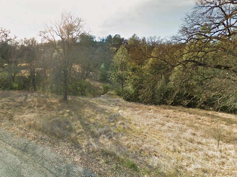 Peaceful 1.04 Acre Lot for Sale : Corning : Tehama County : California