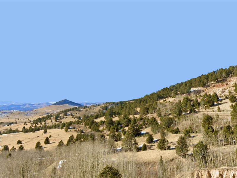 3 Acres, Million-Dollar Views : Cripple Creek : Teller County : Colorado