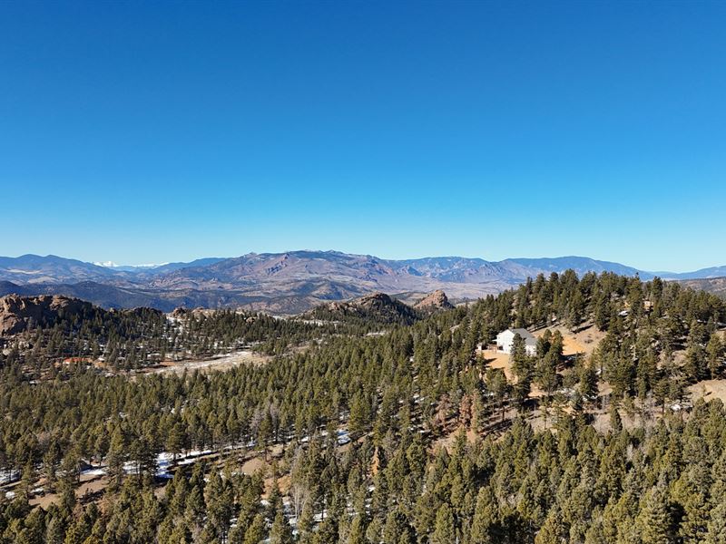 Ute Creek 5 : Florissant : Teller County : Colorado