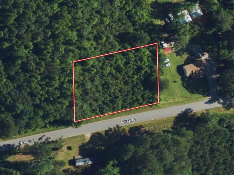 .52 Ac Residential Lot for Sale : Windsor : Bertie County : North Carolina