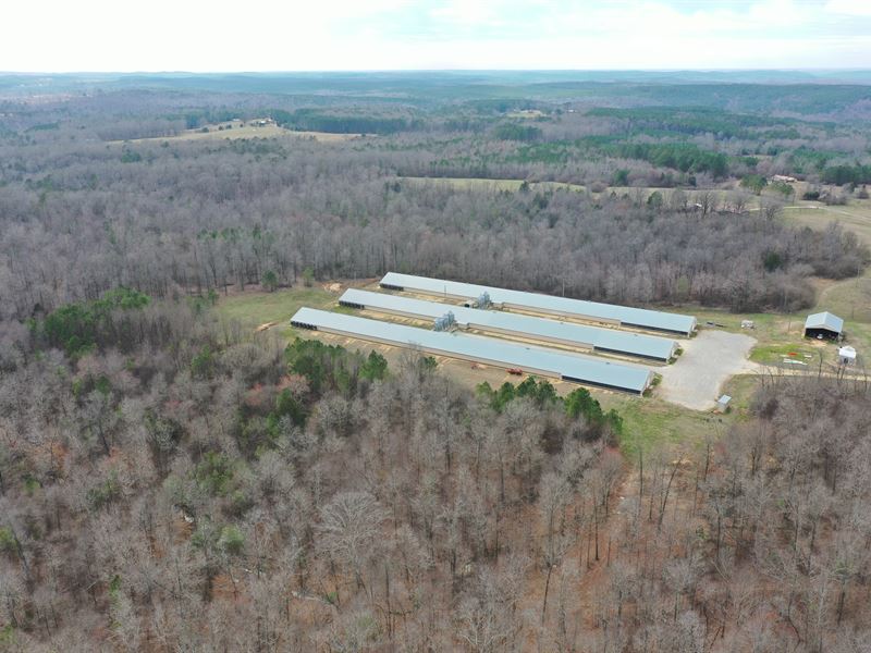 Morrow Broiler Farm, 3-House Mega : Hodges : Marion County : Alabama