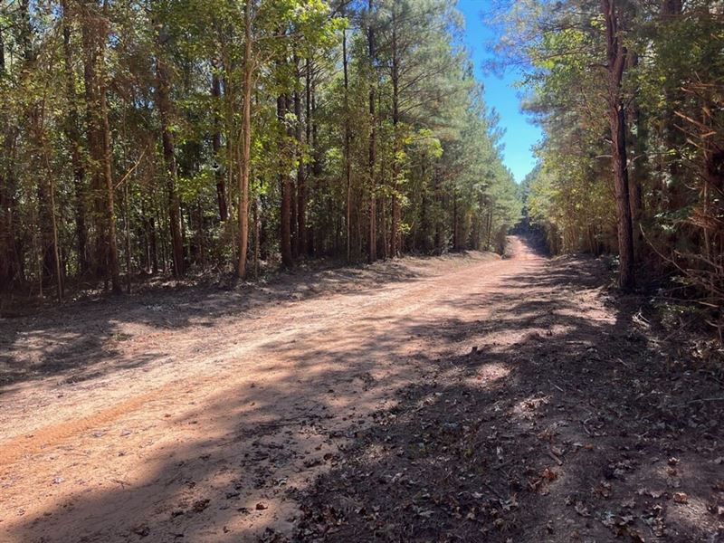 18 Acre Samantha Homesite : Northport : Tuscaloosa County : Alabama