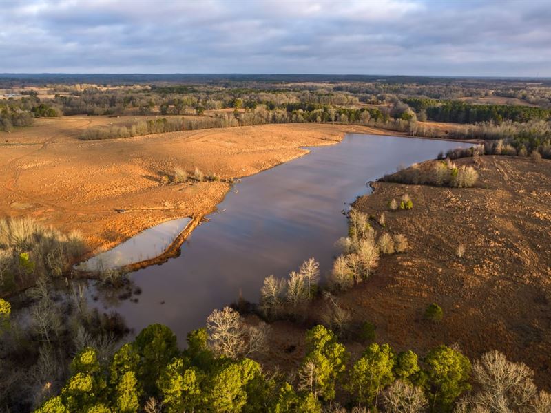 482.41 Acres in Gilmer, Texas : Gilmer : Upshur County : Texas