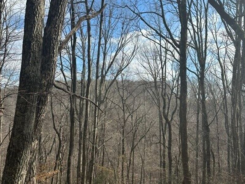 12.57 Acres Unrestricted Property : Spencer : Van Buren County : Tennessee