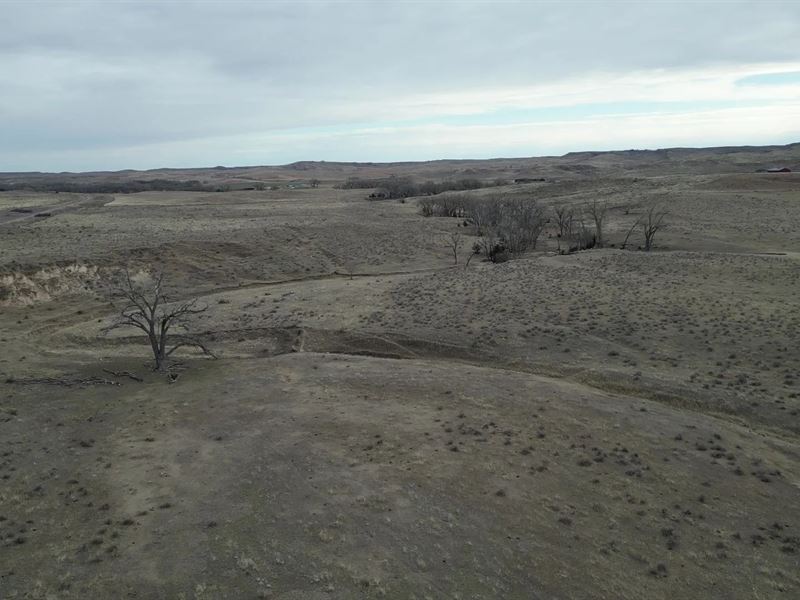 Enders Hunting Get Away : Wauneta : Chase County : Nebraska