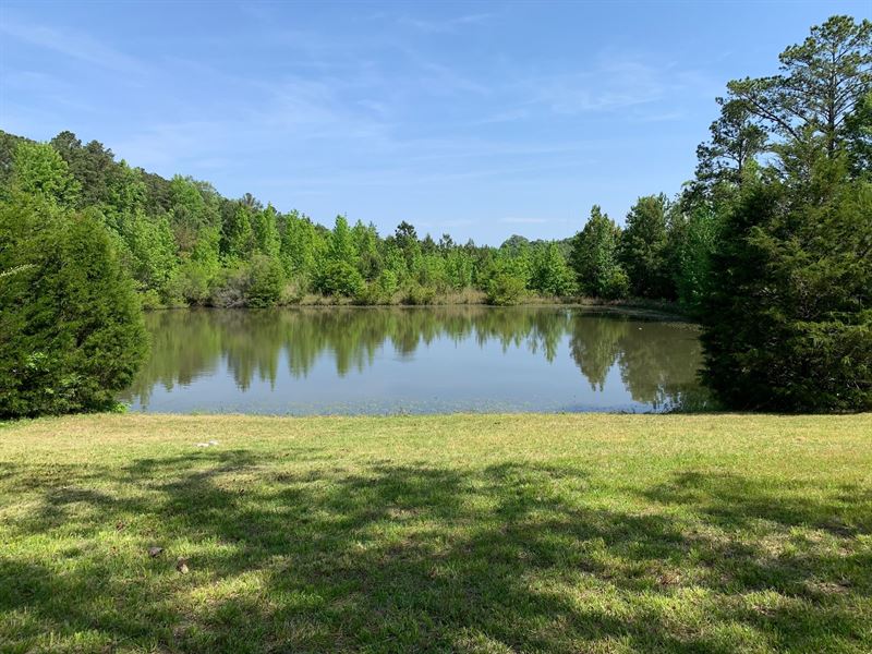 Highway 223 Tract, 298 Ac, Cabin A : Union Springs : Bullock County : Alabama