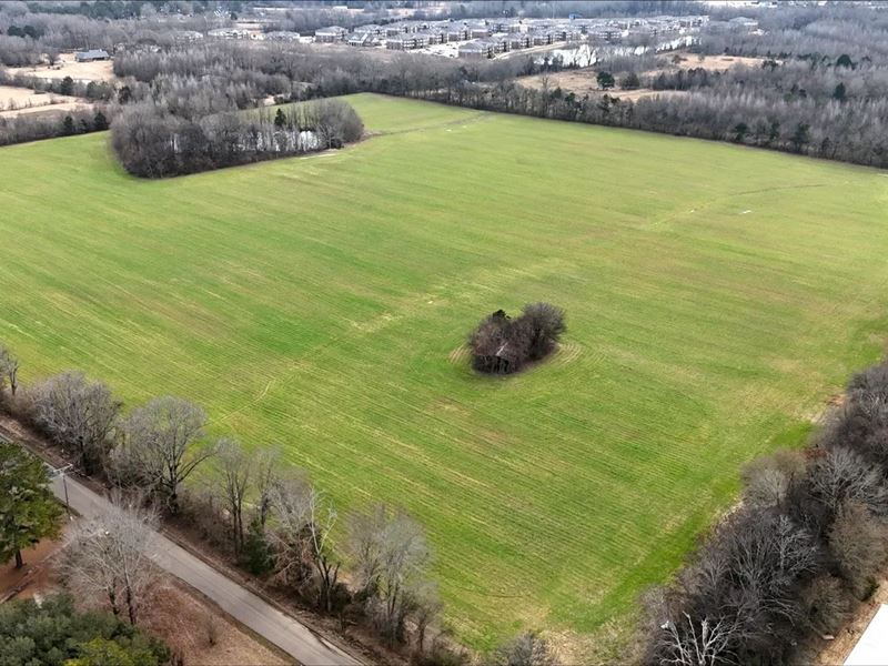 40 Acres in Madison County in Gluck : Gluckstadt : Madison County : Mississippi