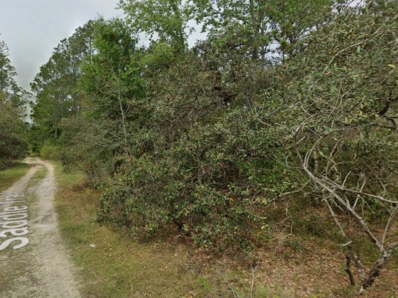 Residential Lot on Saddle Trail : Interlachen : Putnam County : Florida