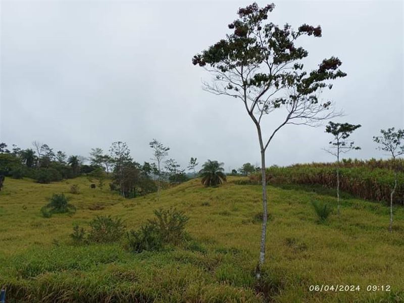 Beautiful Farm in Upala : Upala De Alajuela : Costa Rica