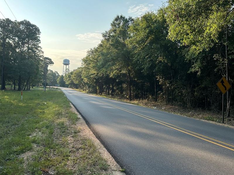 37 Ac Old Atmore Road ID 213 : Flomaton : Escambia County : Alabama