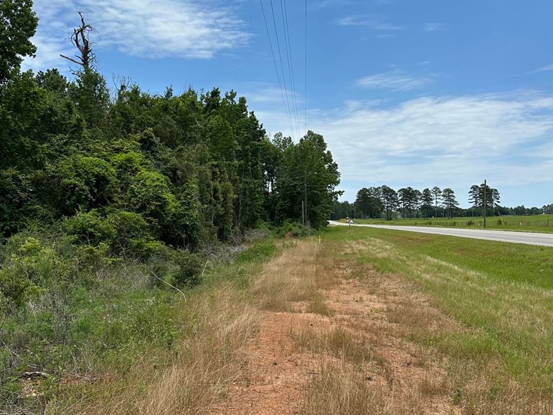 38 Ac Highway 84 ID 110-1 : Evergreen : Conecuh County : Alabama